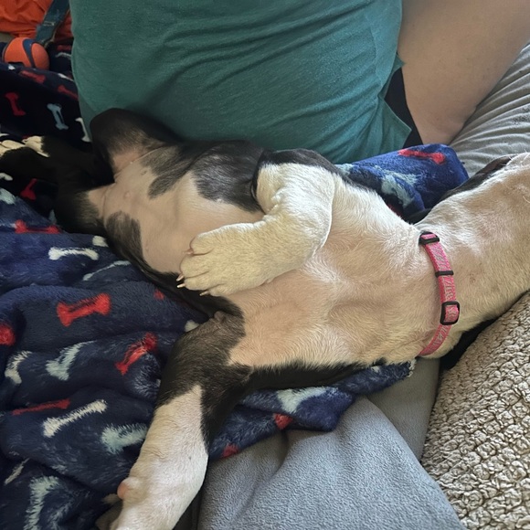 Host appreciation mystery gift/gifts! More you spend more you receive!! - Picture 14 of 16